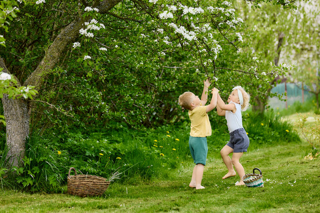 Boys shorts muslin Nile blue