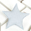 Coussin étoile motif plumes blanches sur gris
